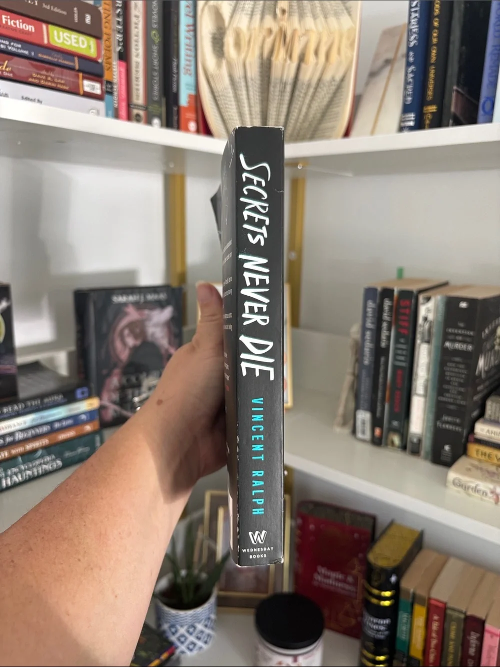 Secrets Never Die — Paperback Book
